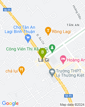 Bán đất Nguyễn Thông xã Tân Bình, thị xã Lagi, Bình Thuận