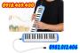 Nơi bán kèn melodica/melodion 32 phím giá rẻ tại gò vấp 