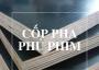 Phân tích chi tiết cốp pha ván phủ phim