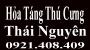 Hỏa táng thú cưng Thái Nguyên, Thiêu chó mèo Thái Nguyên