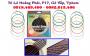 Mua dây đàn guitar tại gò vấp - nhạc cụ nụ hồng 