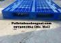 Phân phối pallet nhựa cũ giá rẻ tại Tây Ninh, liên hệ 0973021864 (24/7)