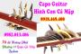Capo guitar hình con cá mập tại gò vấp