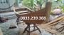 thuyền gỗ chèo hồ hái sen, thuyền gỗ trồng cây cảnh, thuyền gỗ chụp ảnh