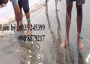 lưới vét cá theo yêu cầu luoinguyenut