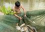 lưới kéo cá tphcm giá rẻ hiệu quả