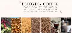ca-phe-pha-may-gia-si-escovina-coffee-07656694_1_678-100424_1_10