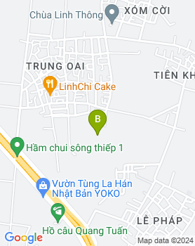 Cánh gà đông lạnh - Thịt Ngon Nhập Khẩu