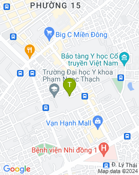 Cho thuê nhà nguyên căn chính chủ số 246/85B Hòa Hưng