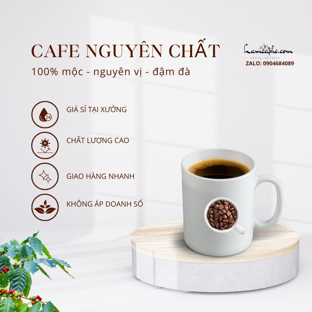 ca-phe-nguyen-chat-tai-quan-10-gia-si-0904684089-lam-ca-phe-090924_1_1