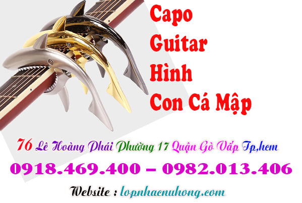 Capo guitar hình con cá mập tại gò vấp