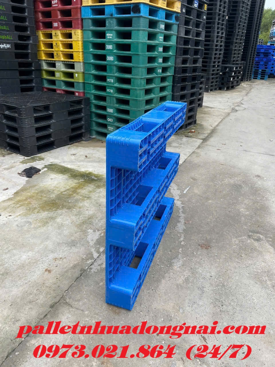 Thanh Lý Lô Pallet Nhựa 1200x1000x150mm Màu Xanh – Giá Cực Rẻ!