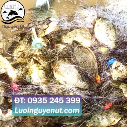 lưới giăng cá các loại ba màn