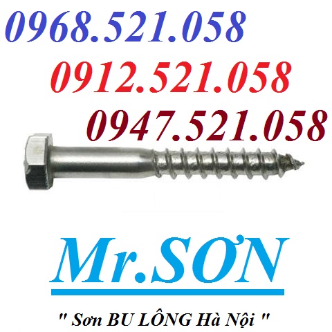 Vít giác Inox 304 M10,M8,M6 hà nội 0912521058 Bu lông Thanh Sơn có vít phông Inox 304, ví