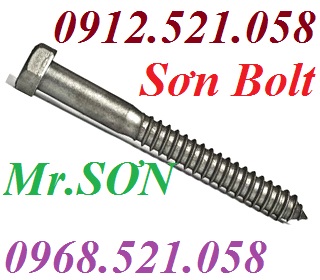 Vít giác Inox 304 M10,M8,M6 hà nội 0912521058 Bu lông Thanh Sơn có vít phông Inox 304, ví