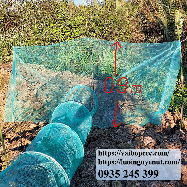 dớn bắt cá tphcm