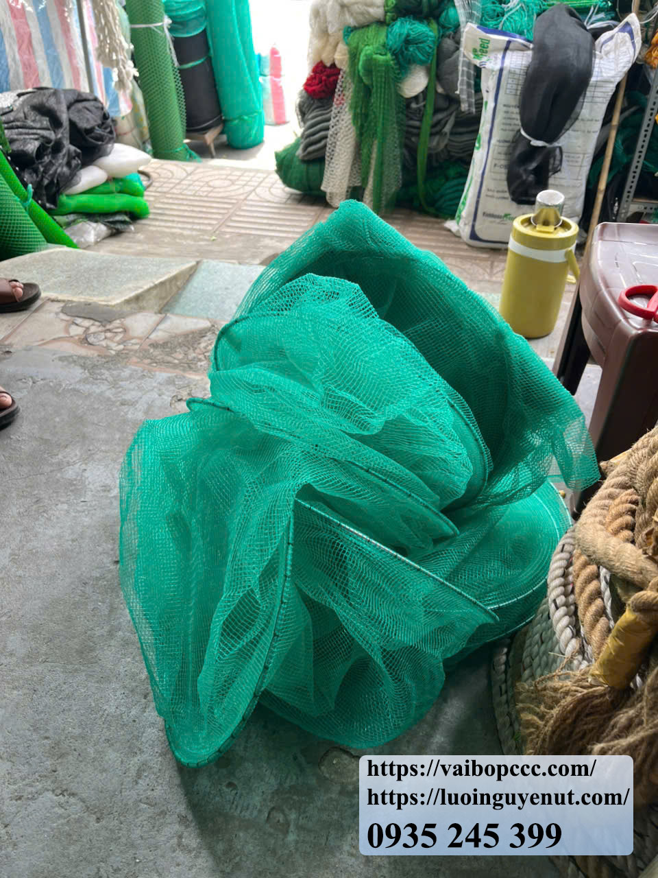 dớn bắt cá tphcm