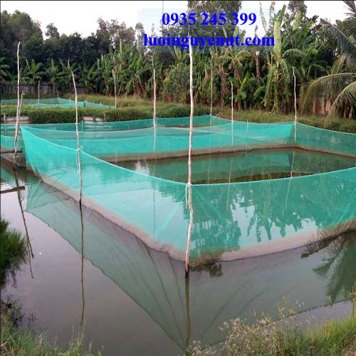 lưới nuôi cá làm sẵn TPHCM