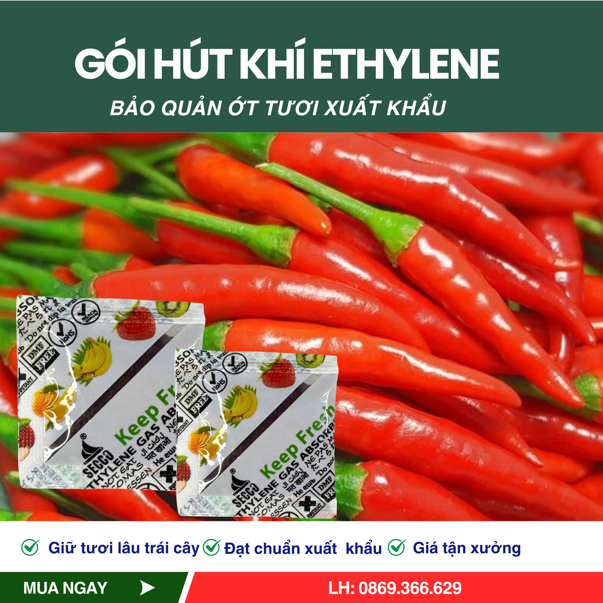gói hút khí ethylene secco bảo quản nông sản