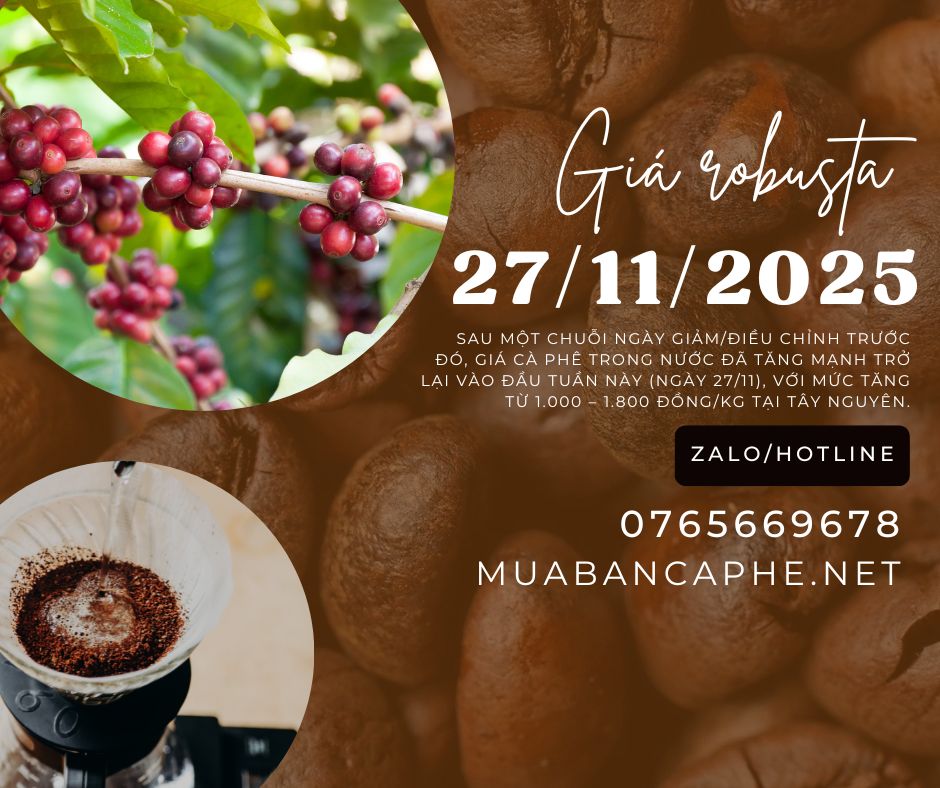 ca-phe-may-quan-12-gia-si-khong-ap-doanh-so-0765669678-0912251_1