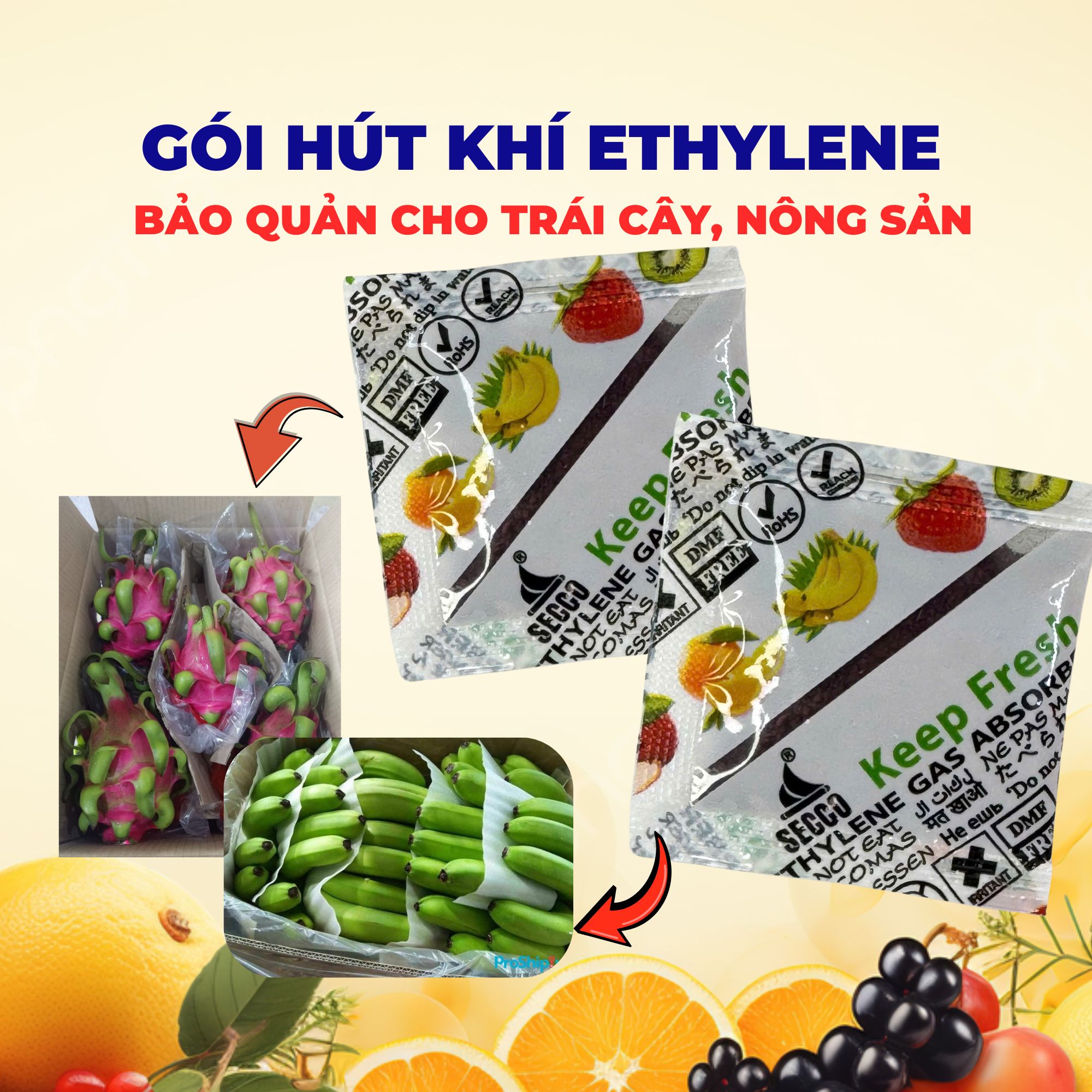 gói hút khí ethylene secco 5g