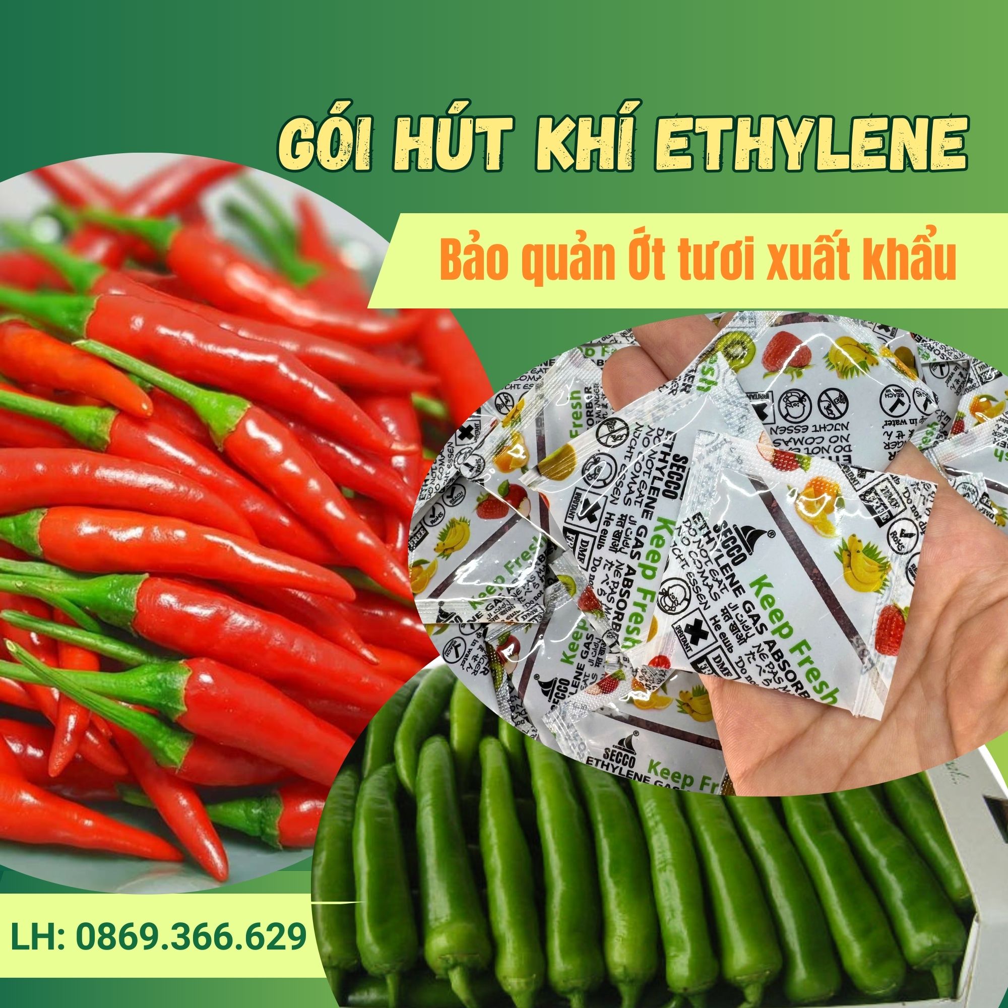 gói hút khí ethylene secco 5gram