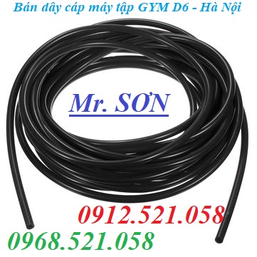 Dây cáp thép mạ bọc nhựa màu Đen 0912521058 Kim khí tổng hợp THANH SƠN Thanh Trì H
