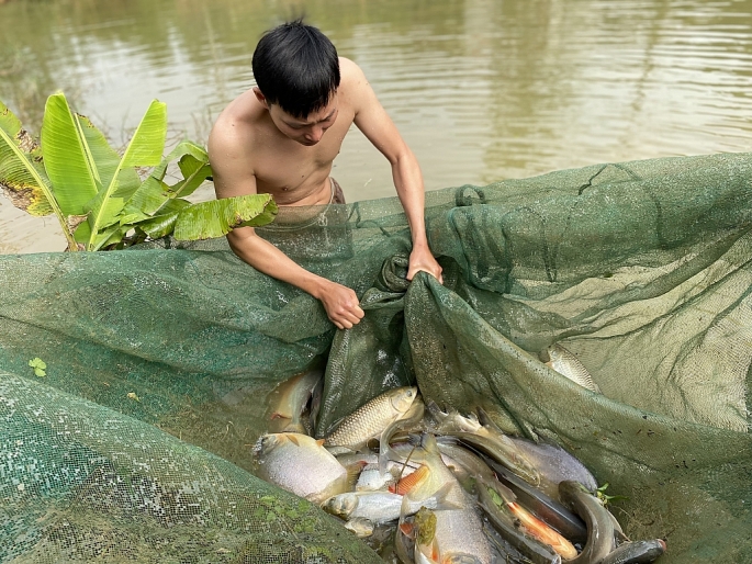 lưới kéo cá gia công theo yêu cầu BAO CHẤT LƯỢNG