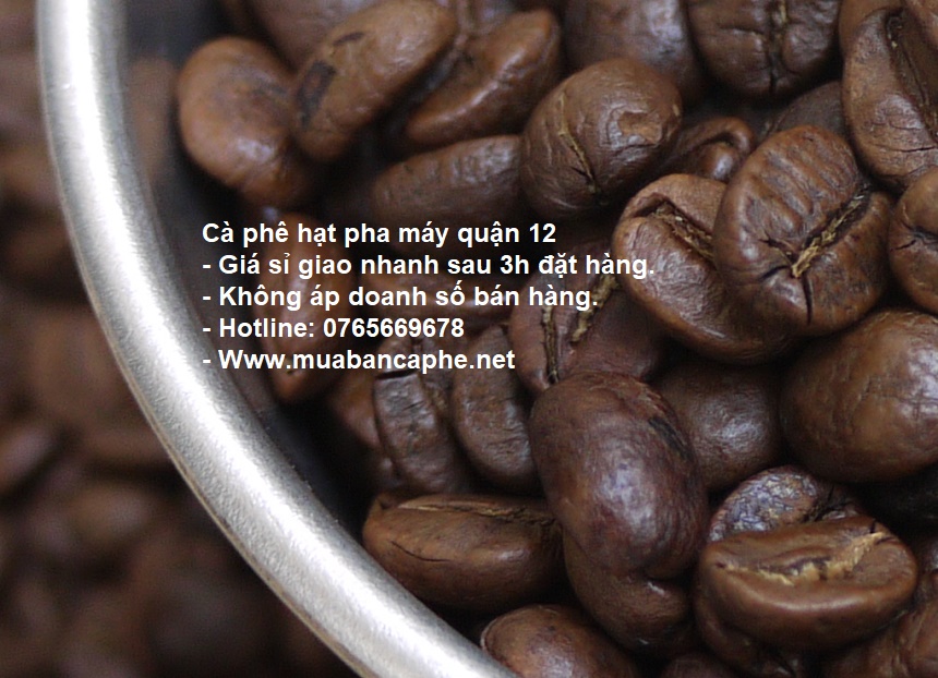 ca-phe-may-tp-ho-chi-minh-0765669678-200124_1_10000