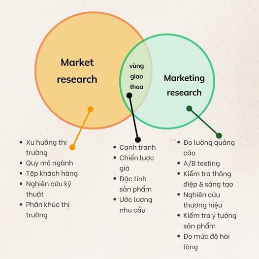 Phân biệt Market Research và Marketing Research