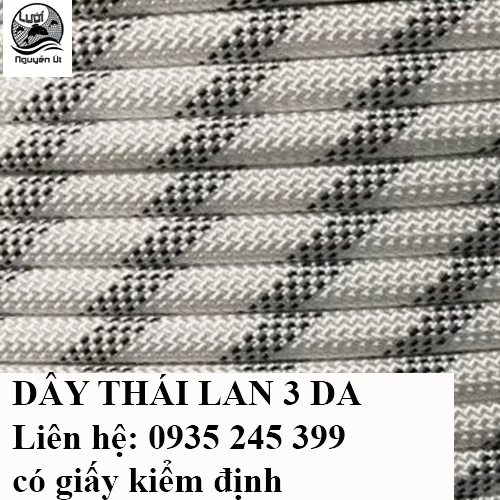 dây dù đu dây sơn nước tphcm