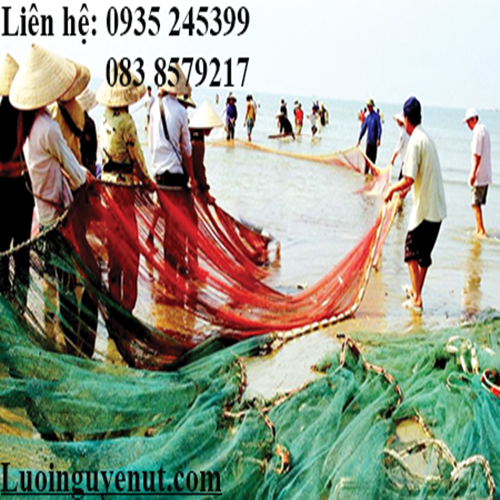 lưới quét cá gia công theo yêu cầu