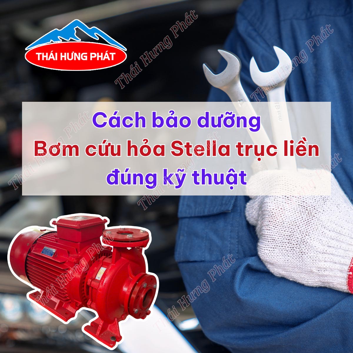 Bảo dưỡng bơm PCCC Stella trục liền đúng kỹ thuật