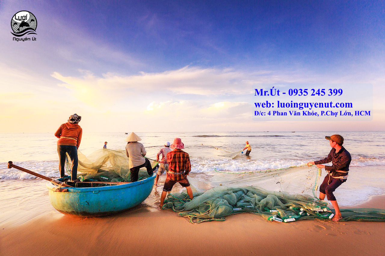 lưới kéo cá chỉ dù gia công theo yêu cầu