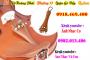 Dụng cụ móc dây đàn violin tại gò vấp, tphcm