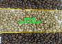 cung-cap-ca-phe-hat-bien-hoa-0339542587-28032023-1_19