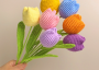 Hoa Tulip Len